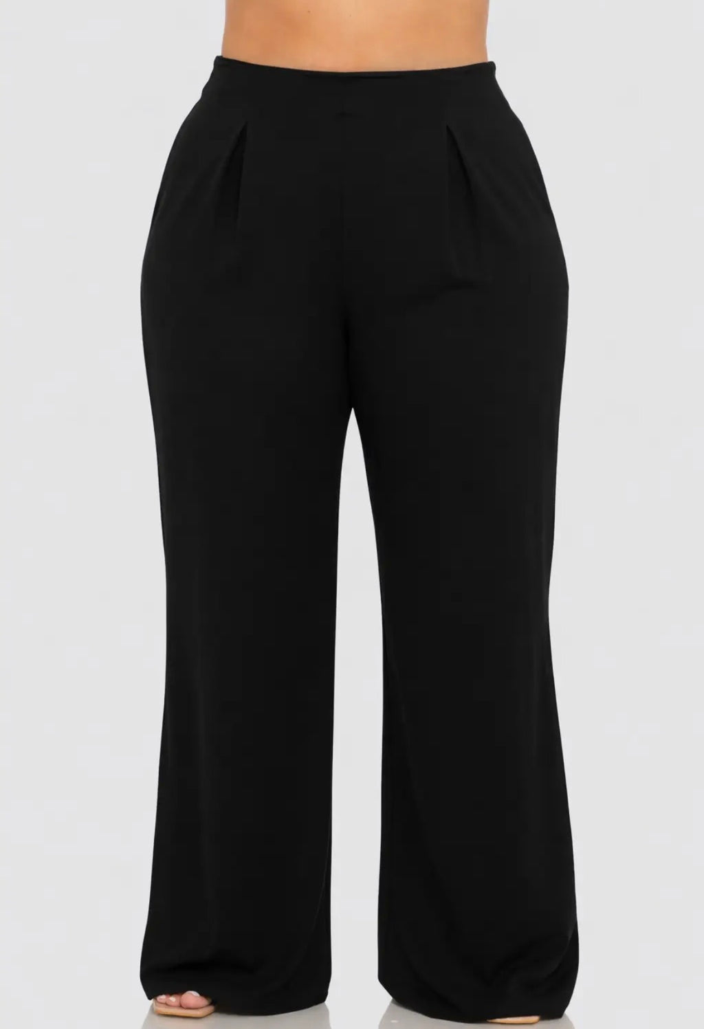 Pleated Wide Leg Pants (Plus)