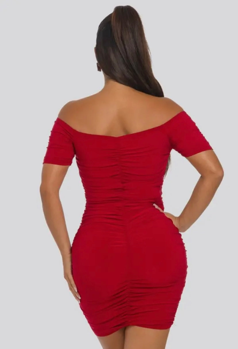 Vixen Mini Dress