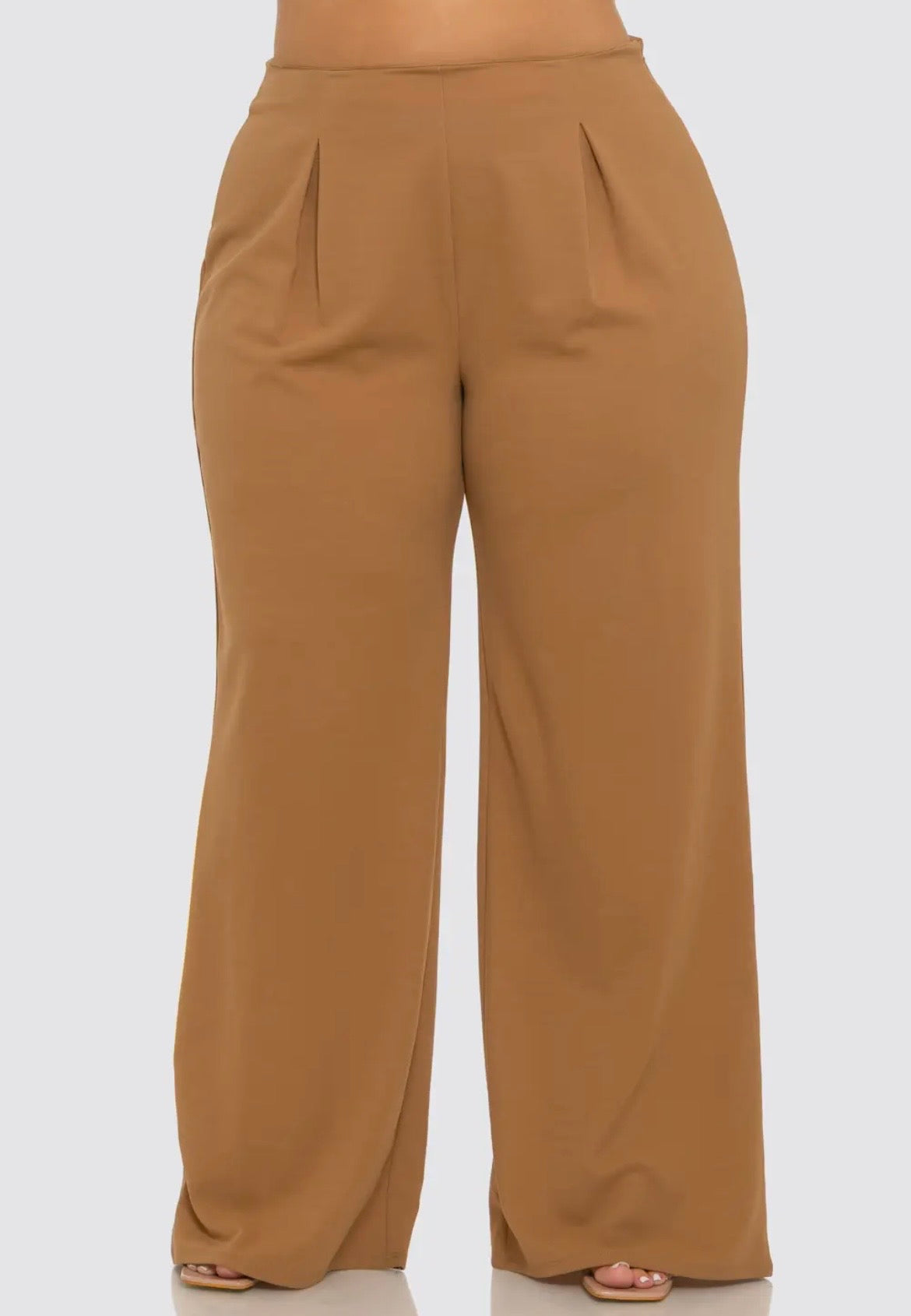 Pleated Wide Leg Pants (Plus)