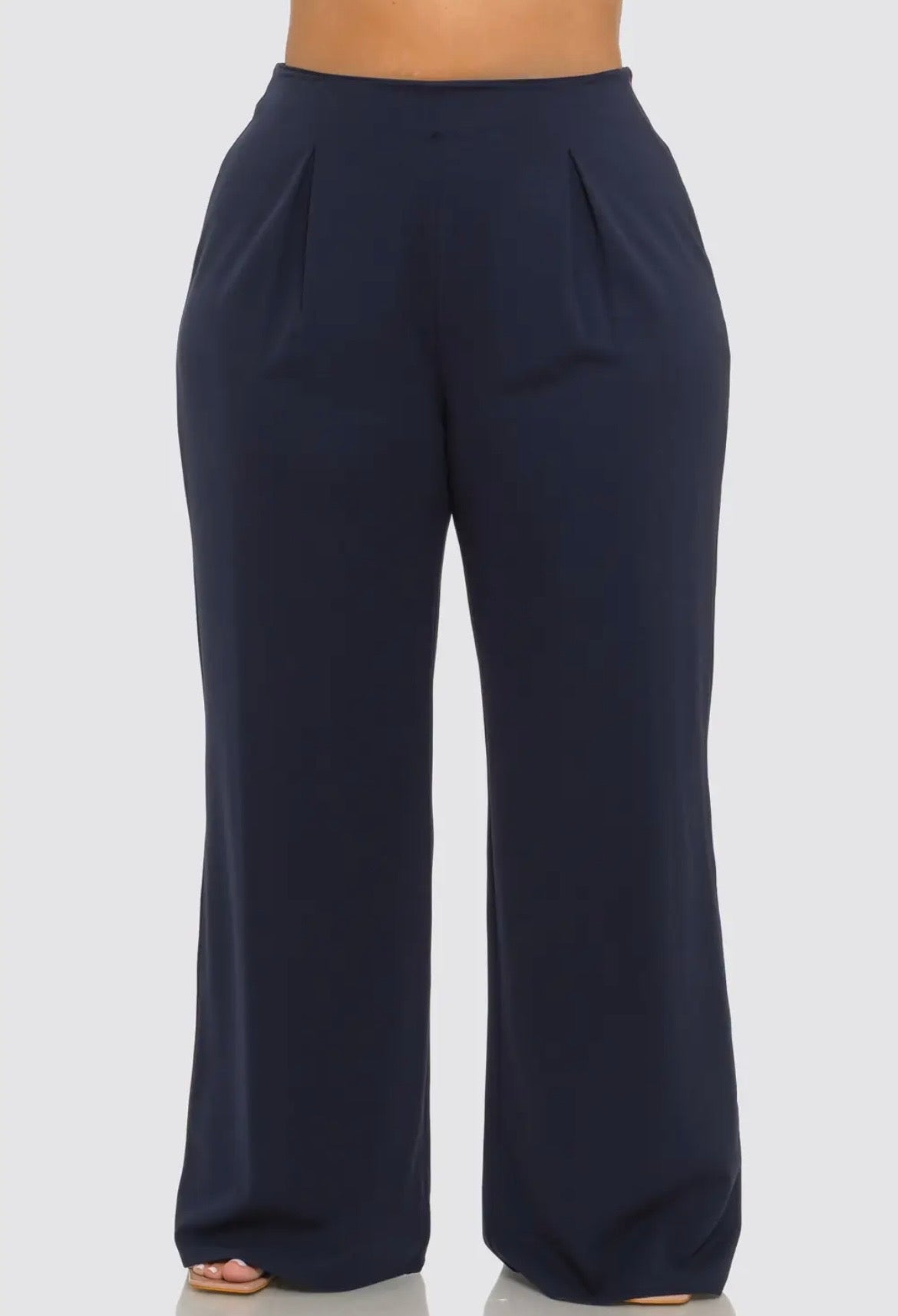 Pleated Wide Leg Pants (Plus)